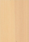 Kiefer 272 C